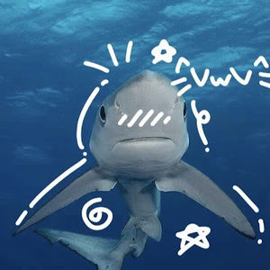 Meet your Posher, Jazmine